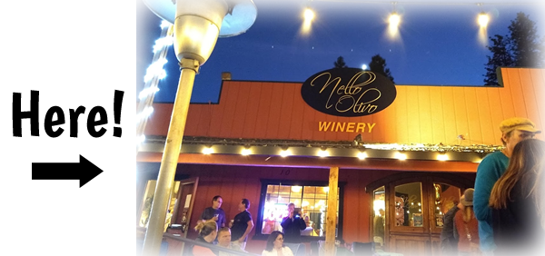 Nello Olivo Camino Tasting Room