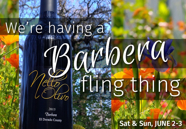 Nello Olivo Winery is releasing its Barbera 2015 this weekend, June 2-3, 2018, in the Placerville tasting room.