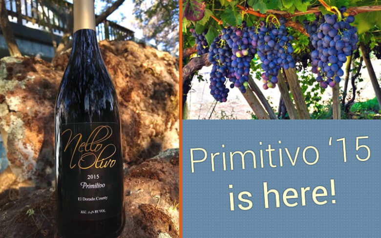 Olivo's 2015 Primitivo is here.