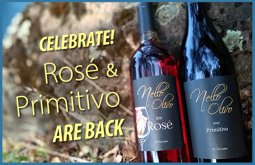 Nello Olivo Rosé and Primitivo are Back!