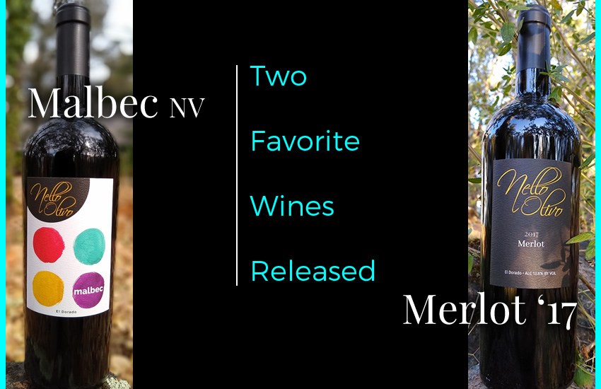 Two Favorite Nello Olivo wines released - Malbec and Merlot 2017